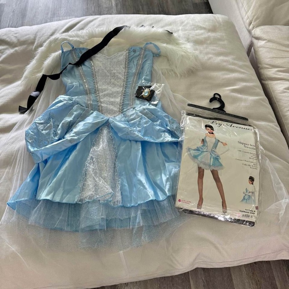 Cinderella Costume